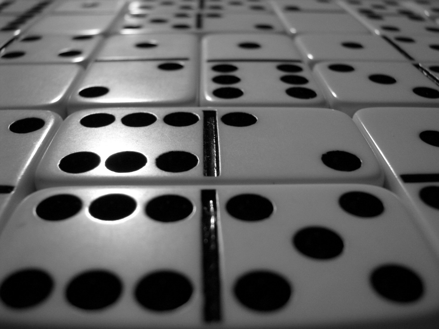 Standard b/w.jpg