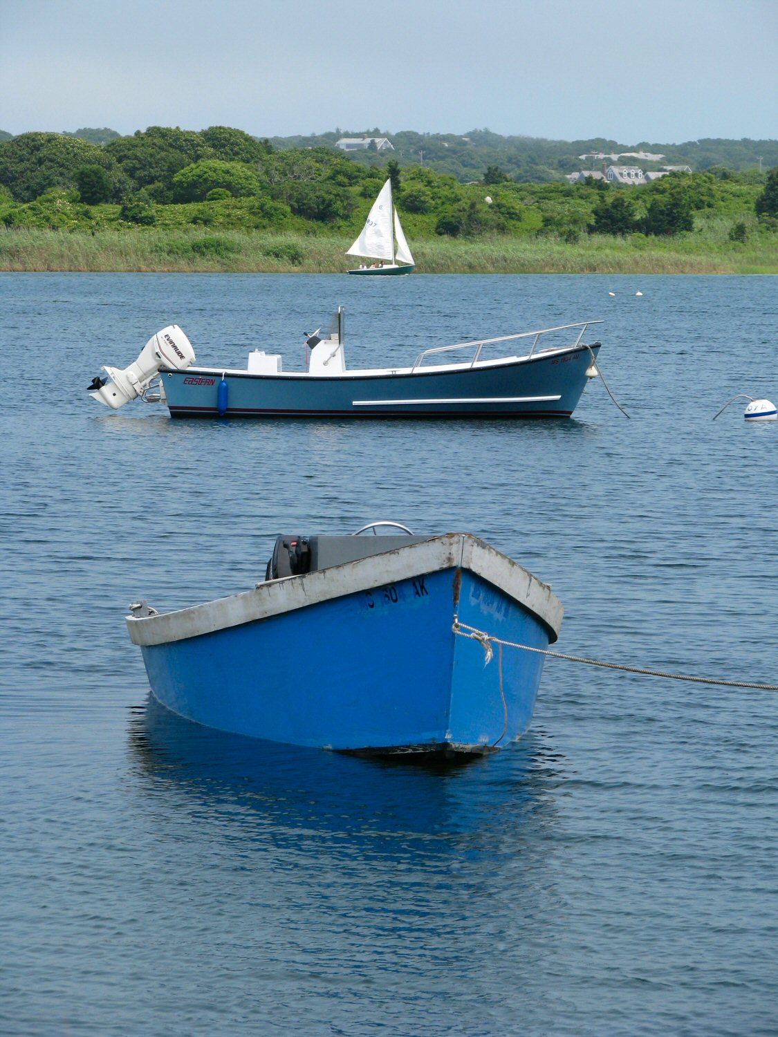 whatever floats your boat.jpg