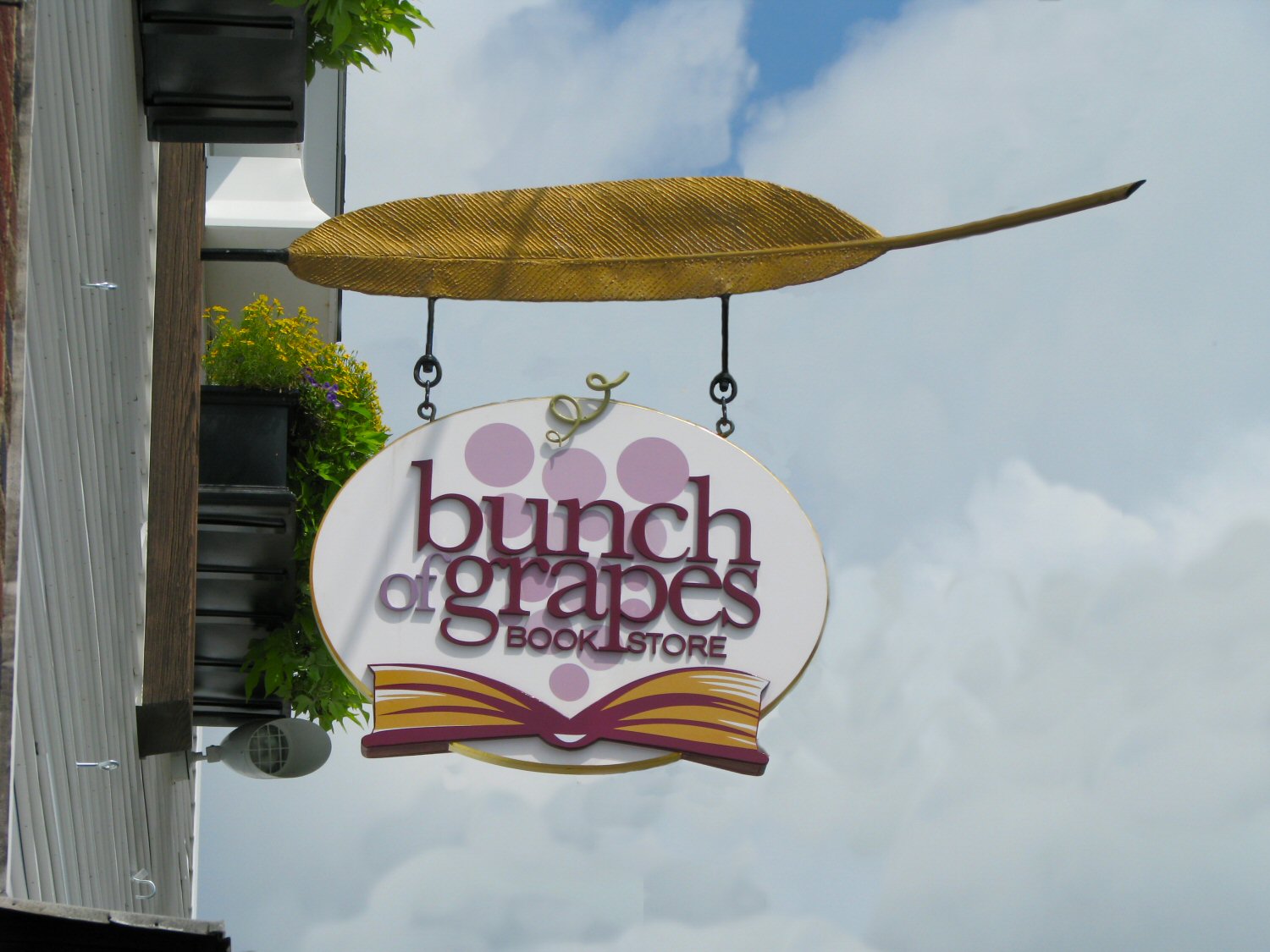 Bunch of Grapes New Sign.jpg