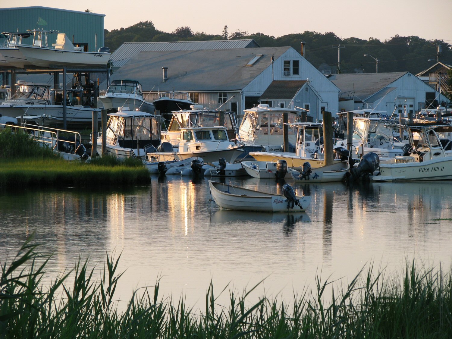 Maciel Marina.jpg