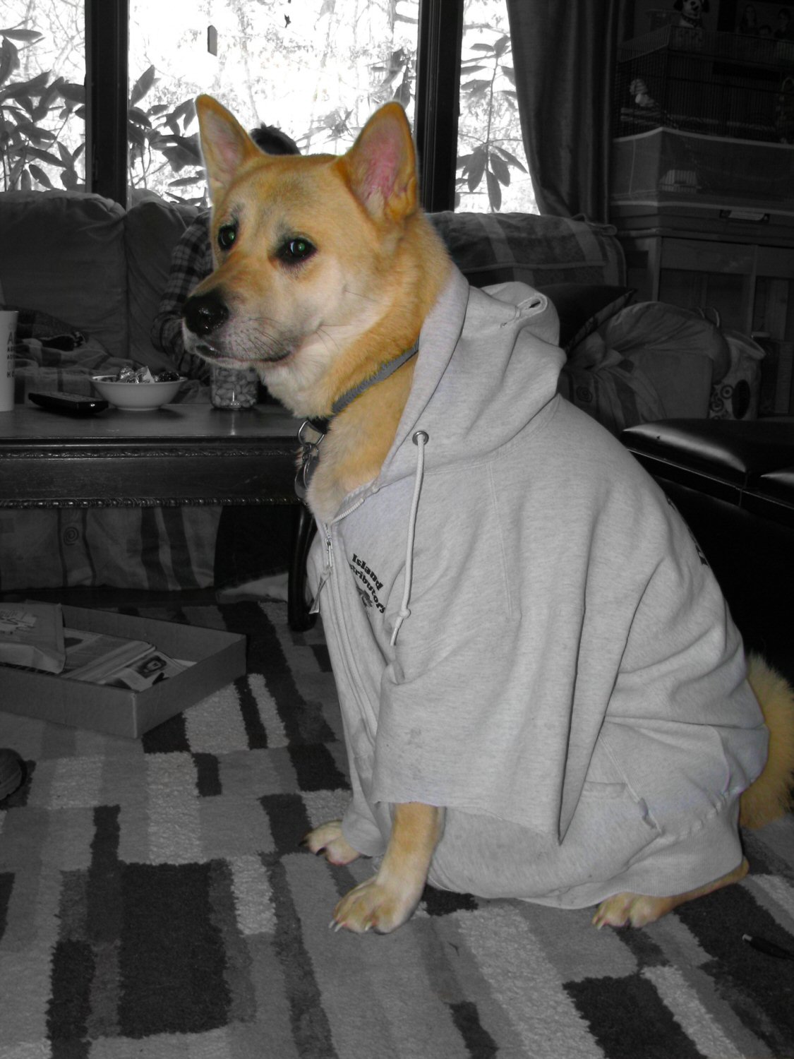 Suki in Sweats.jpg