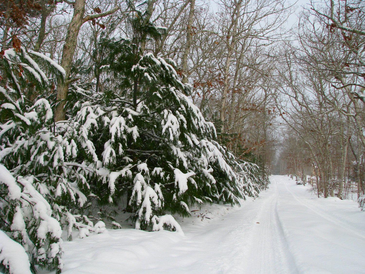 Country Road.jpg