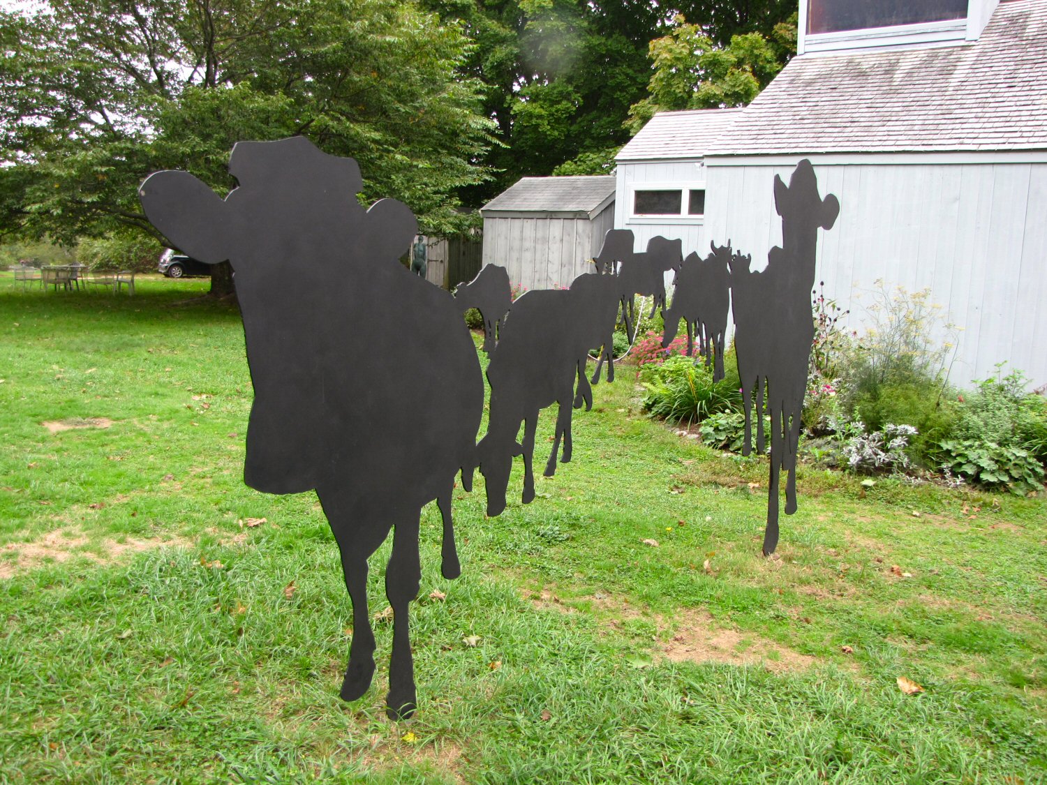 Herd Illusion.jpg