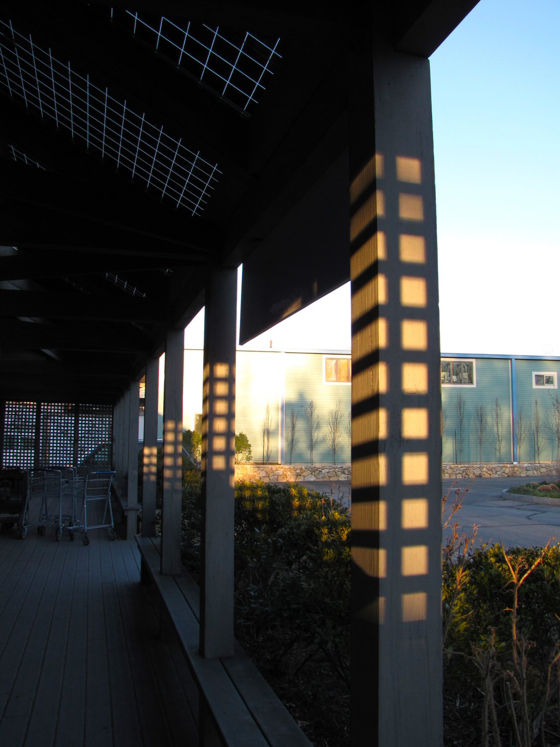 Lattice Patterns.jpg