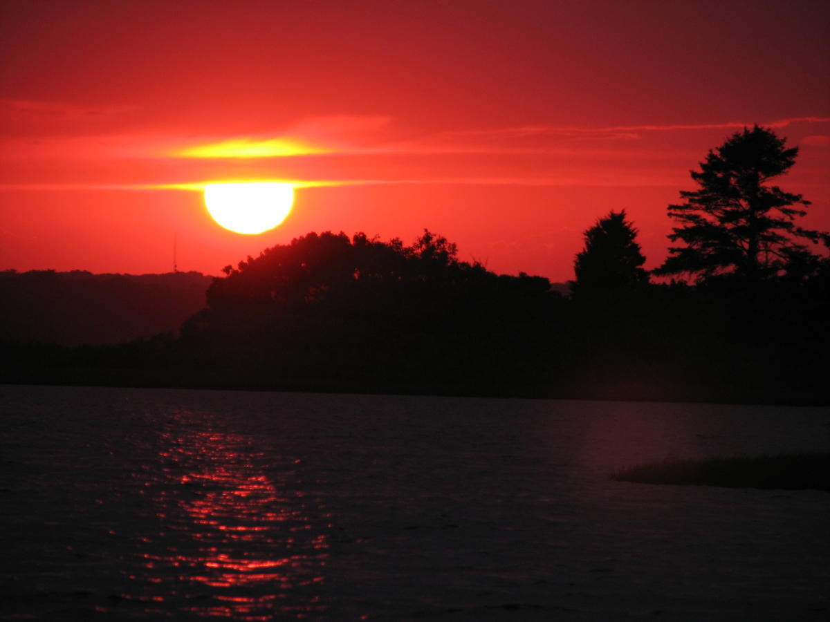 Vineyard Summer Sunset.jpg