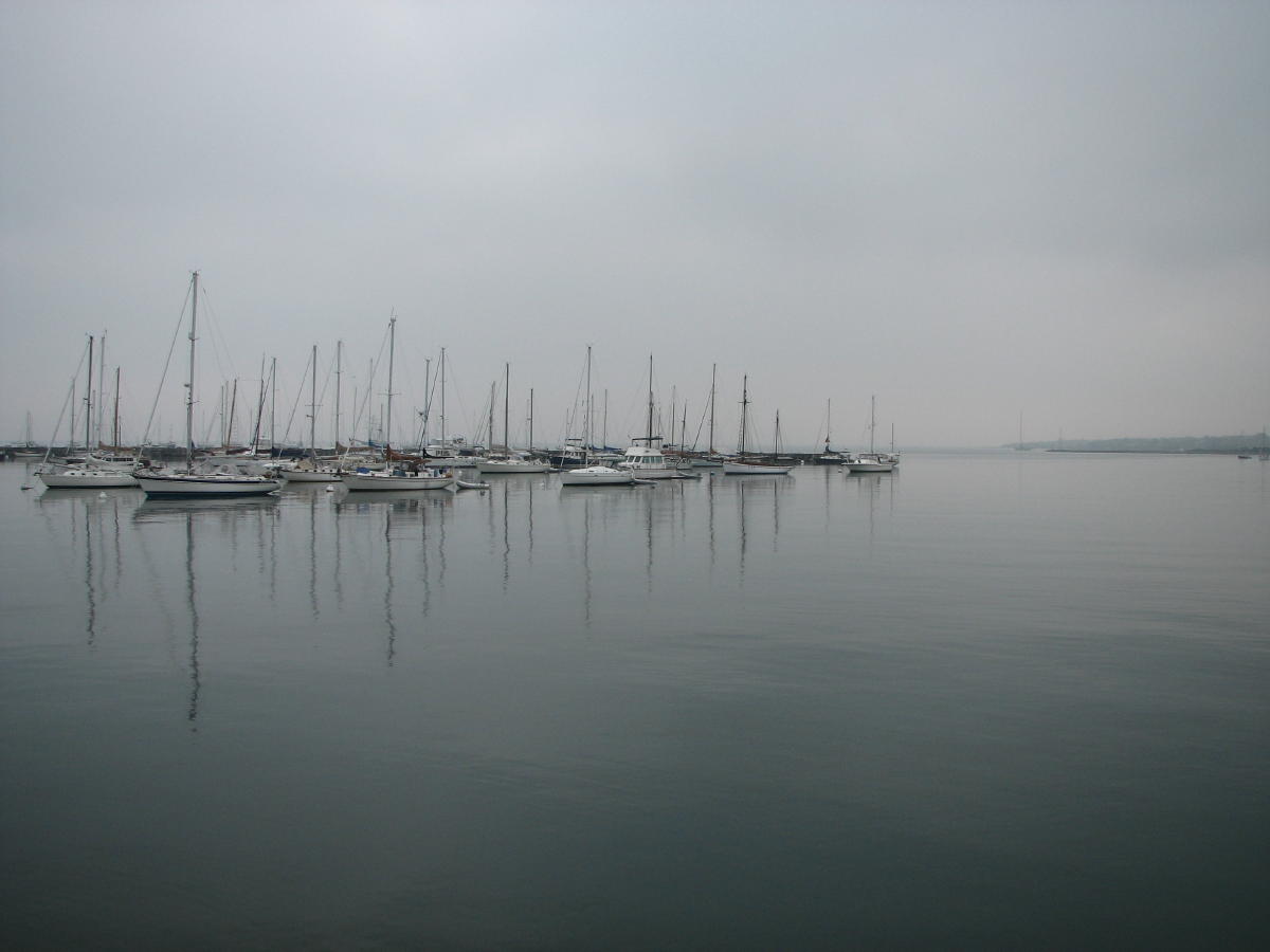 Grey Harbor.jpg