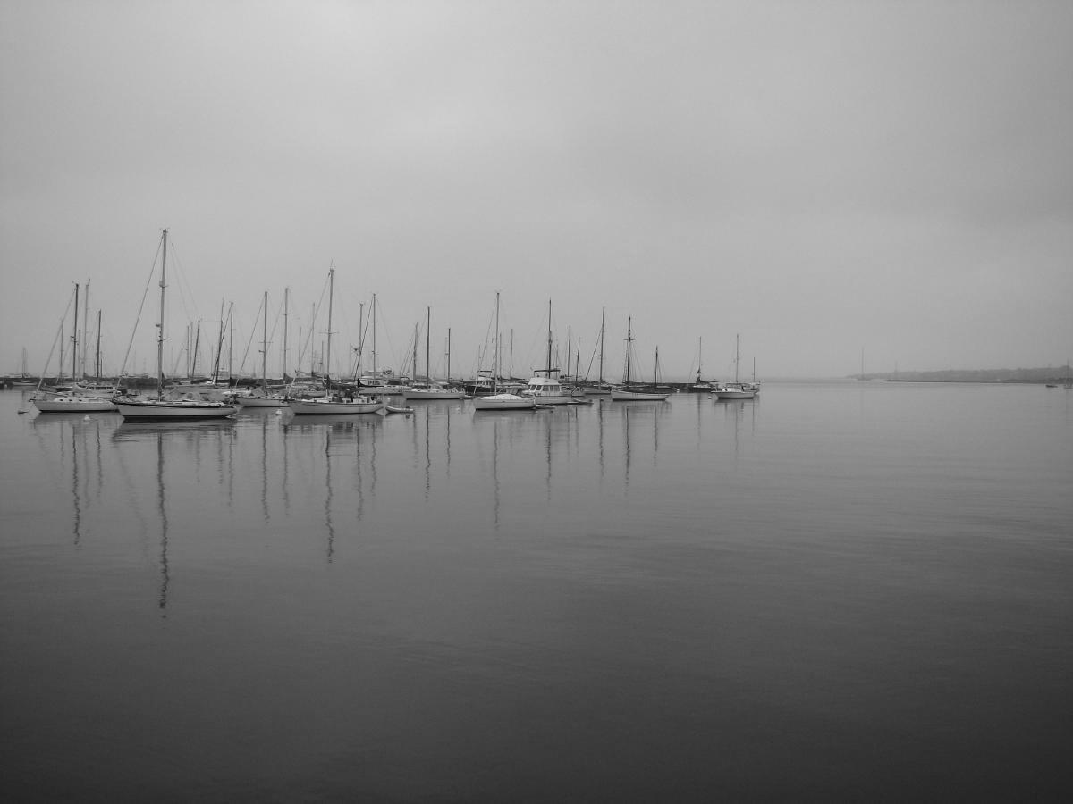 BW Harbor.jpg
