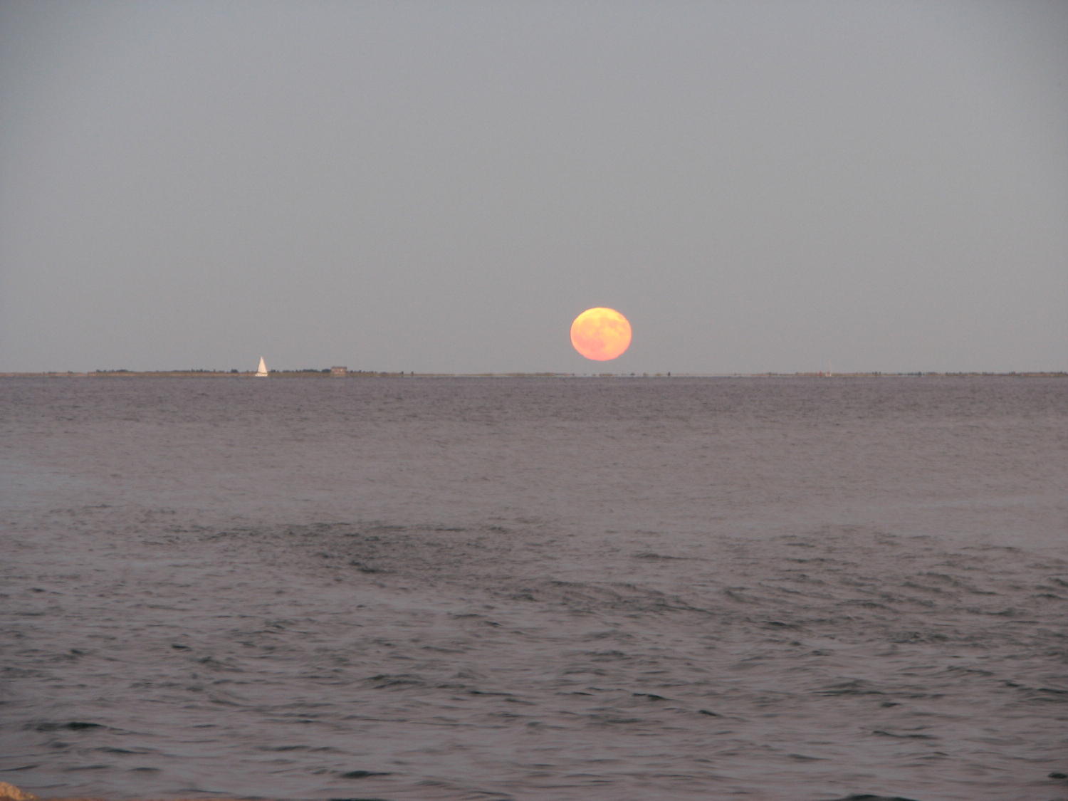 Moonrise.jpg