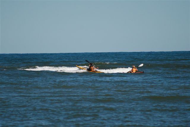 Kouchibouguac Grey Seal Adventure