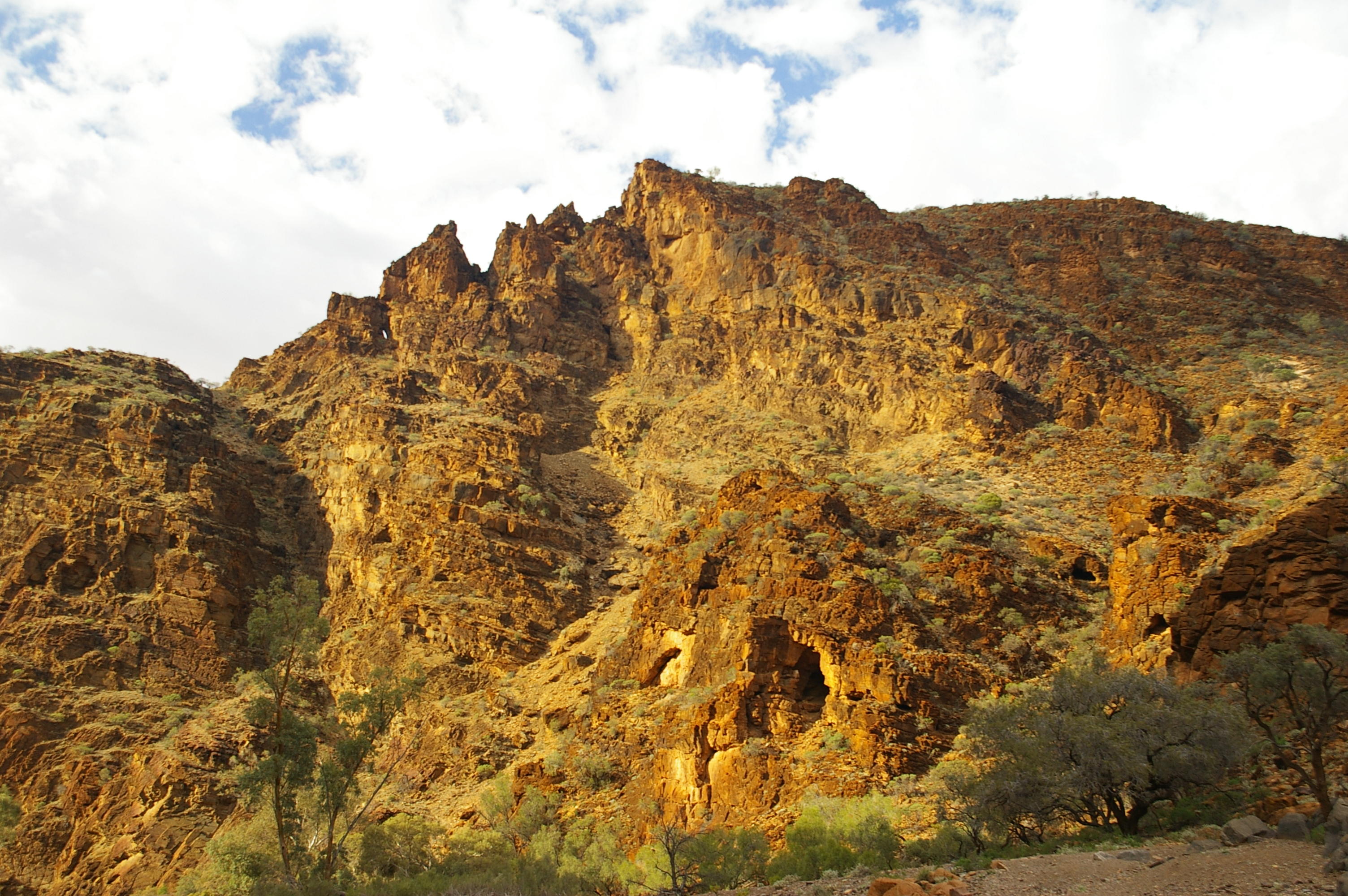 Flinders Ranges Sep 05 022