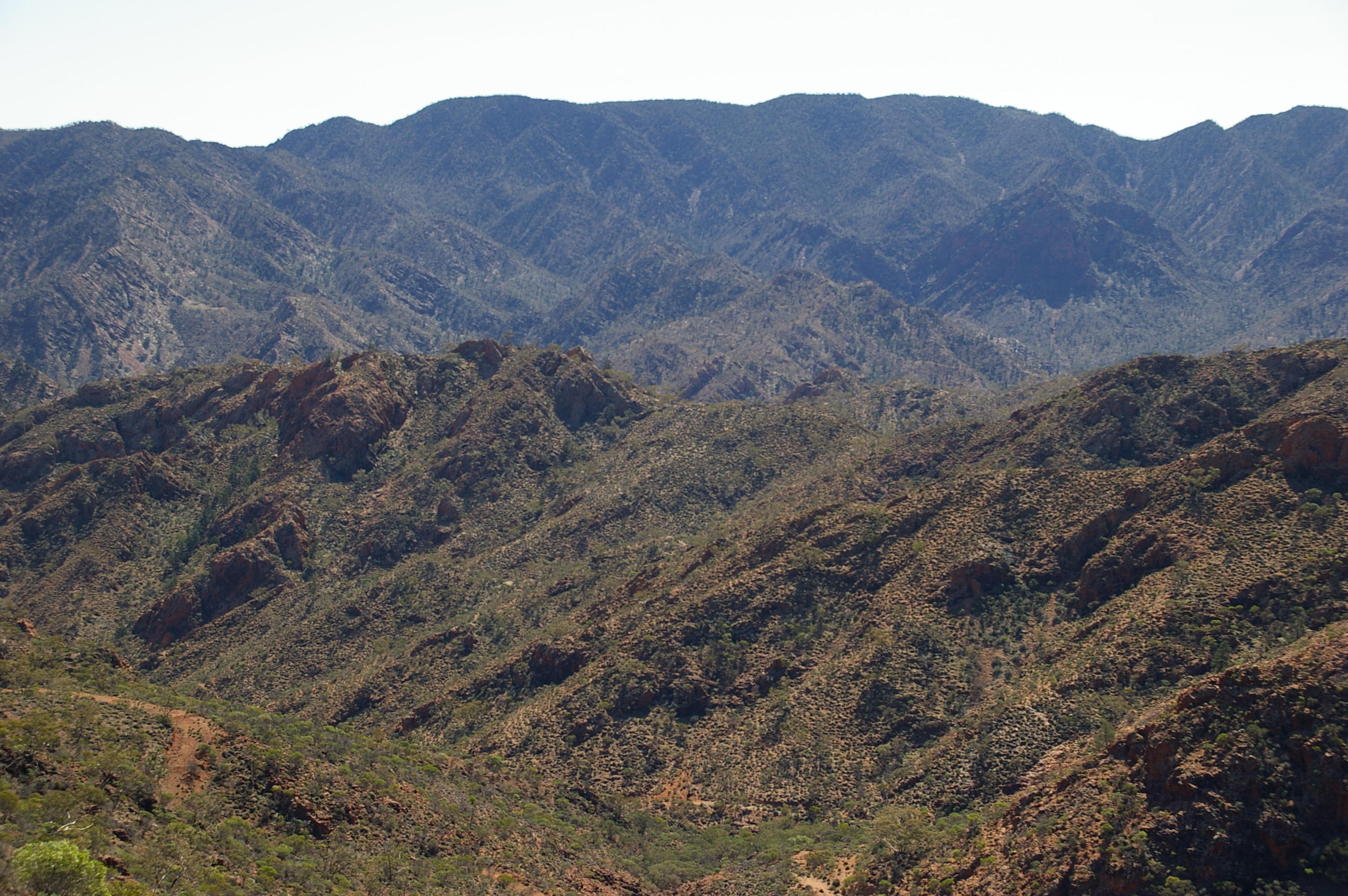 Flinders Ranges Sep 05 047