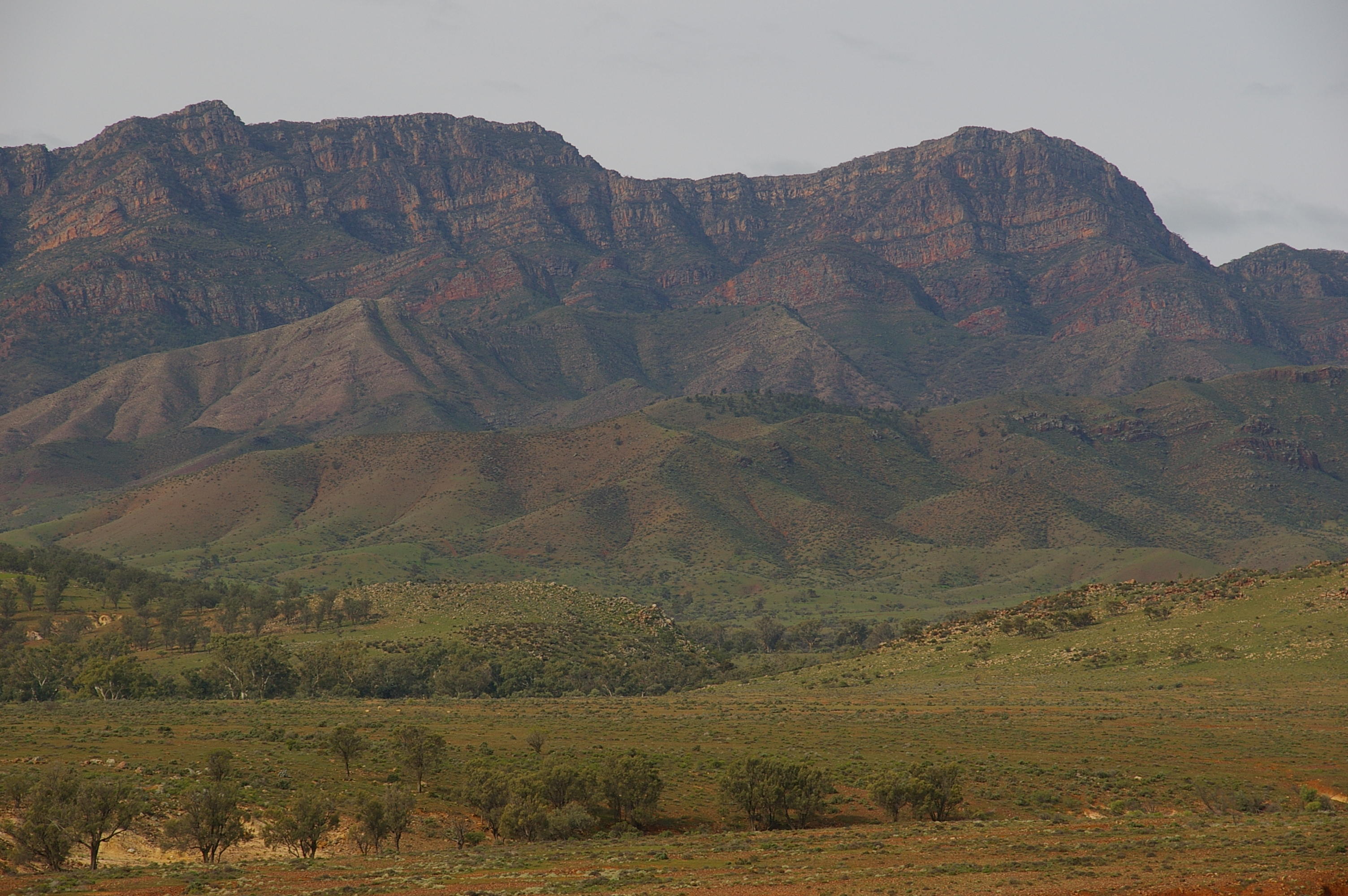 Flinders Ranges Sep 05 095