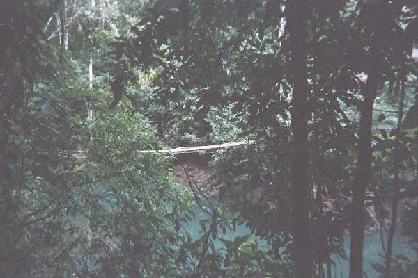 hanging bridge