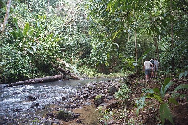 Stream