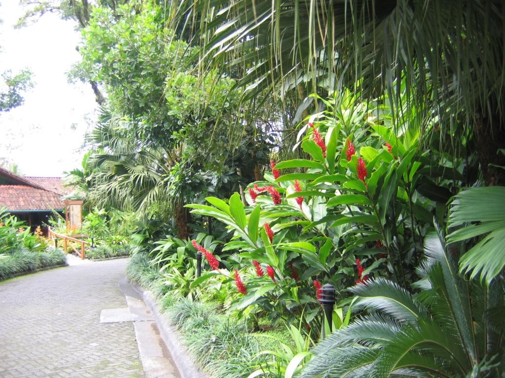 IMG_0500.JPG