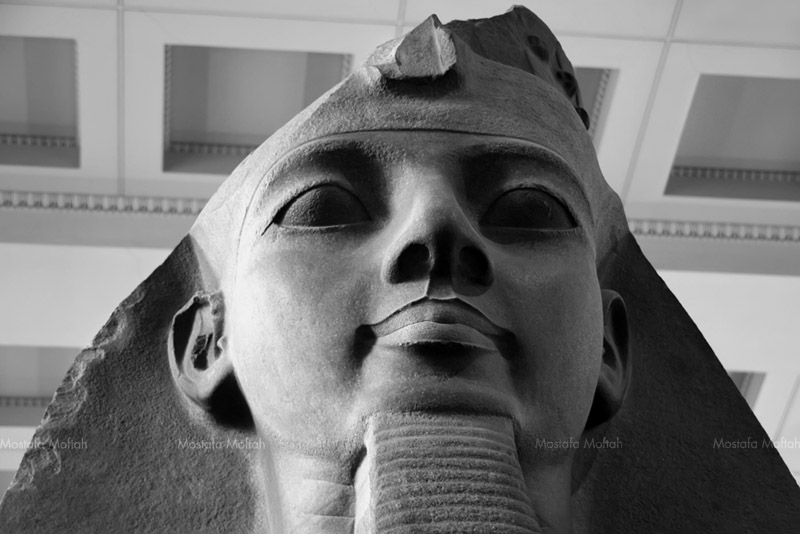 Upper half of granite colossal statue of Ramesses II