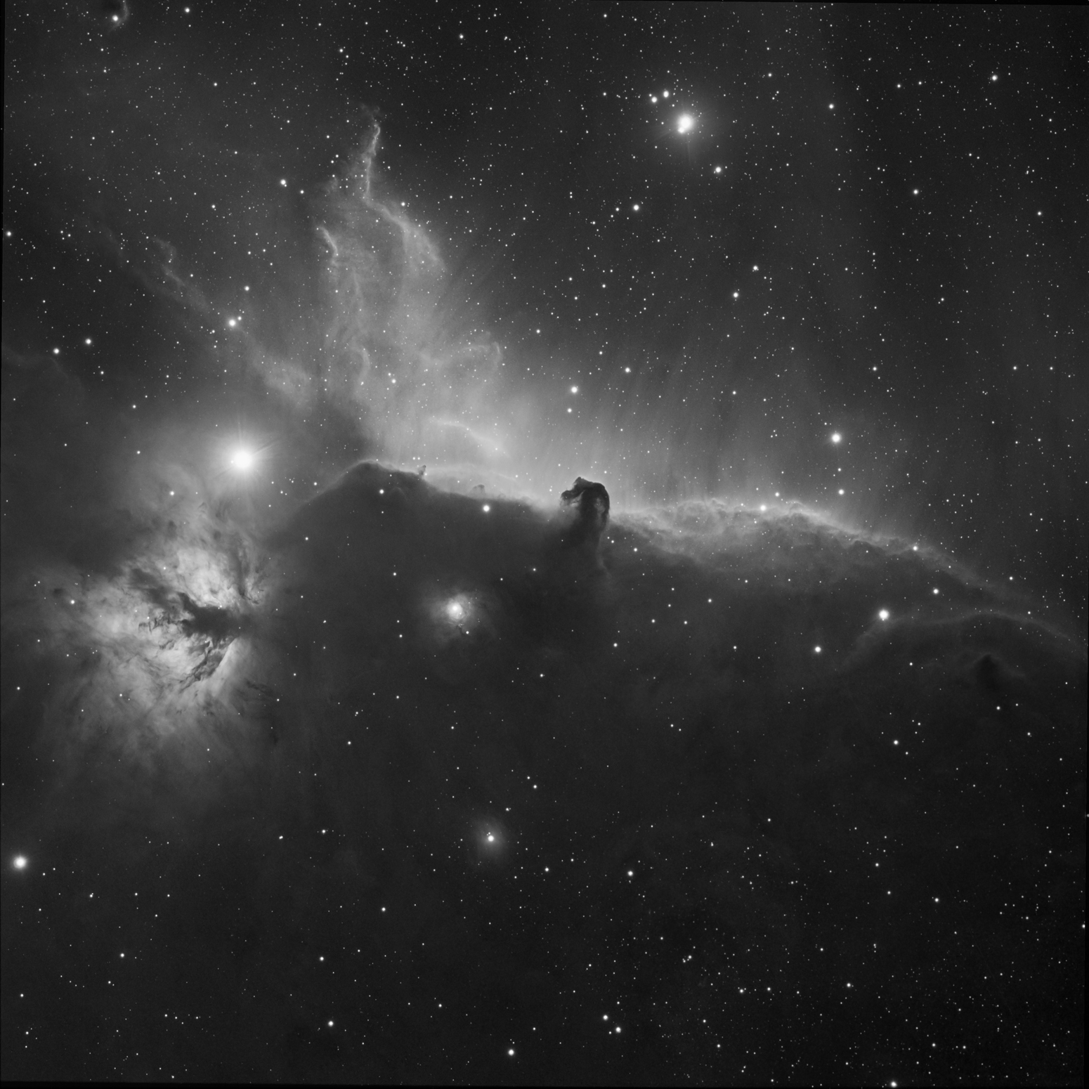 Horsehead Region Lum + Halpha
