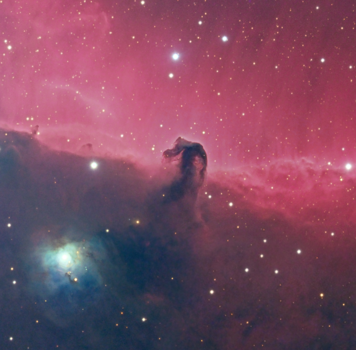 The Horsehead