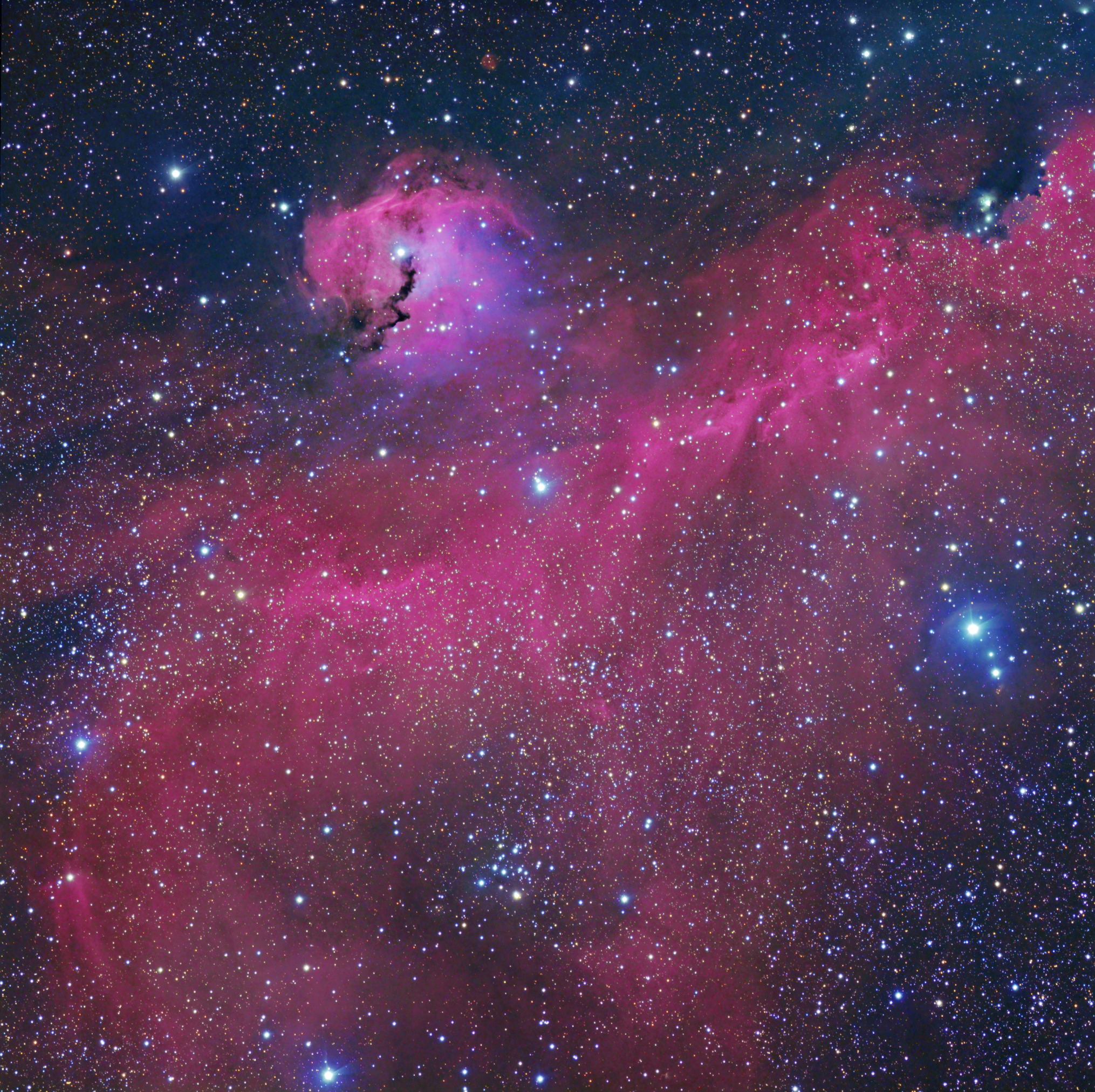 Seagull Nebula (large)