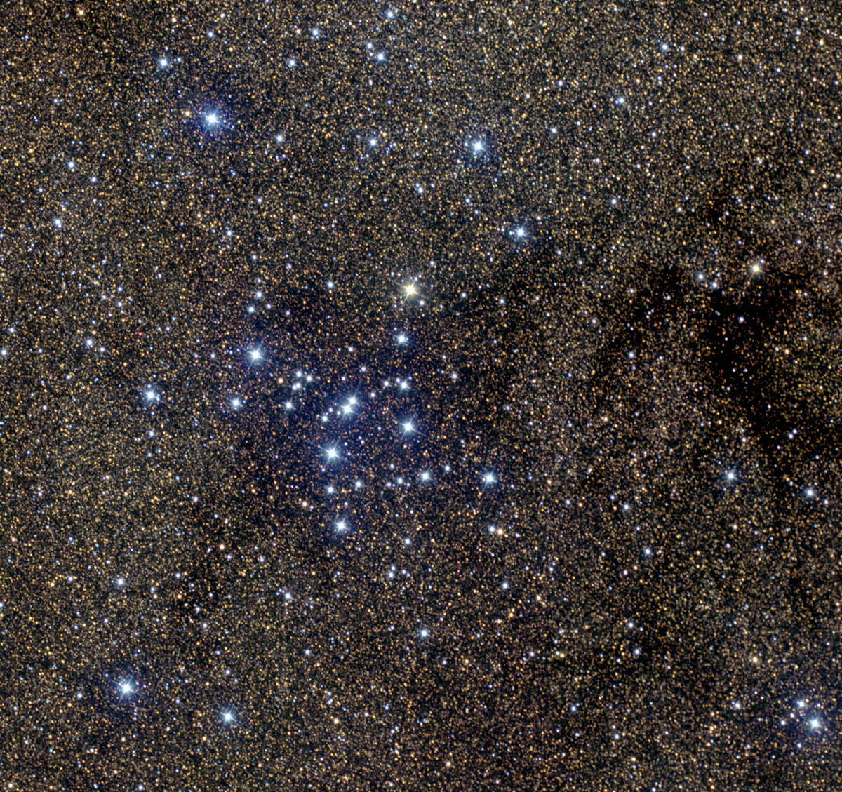 M7 Star Cluster (close up)