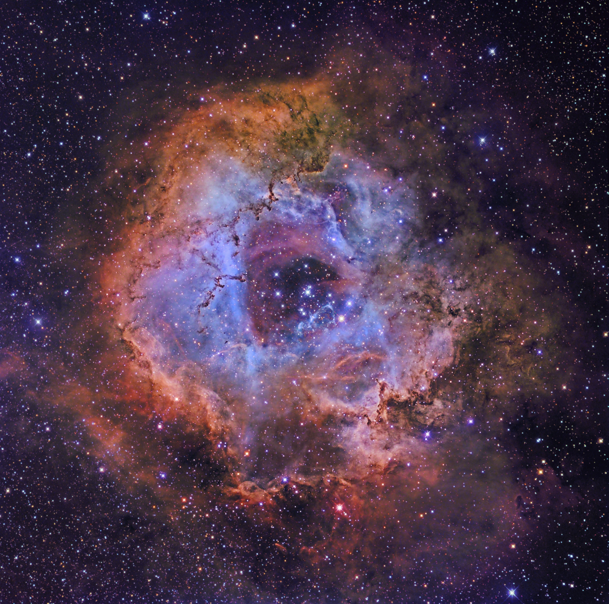 Rosette in Hubble colours