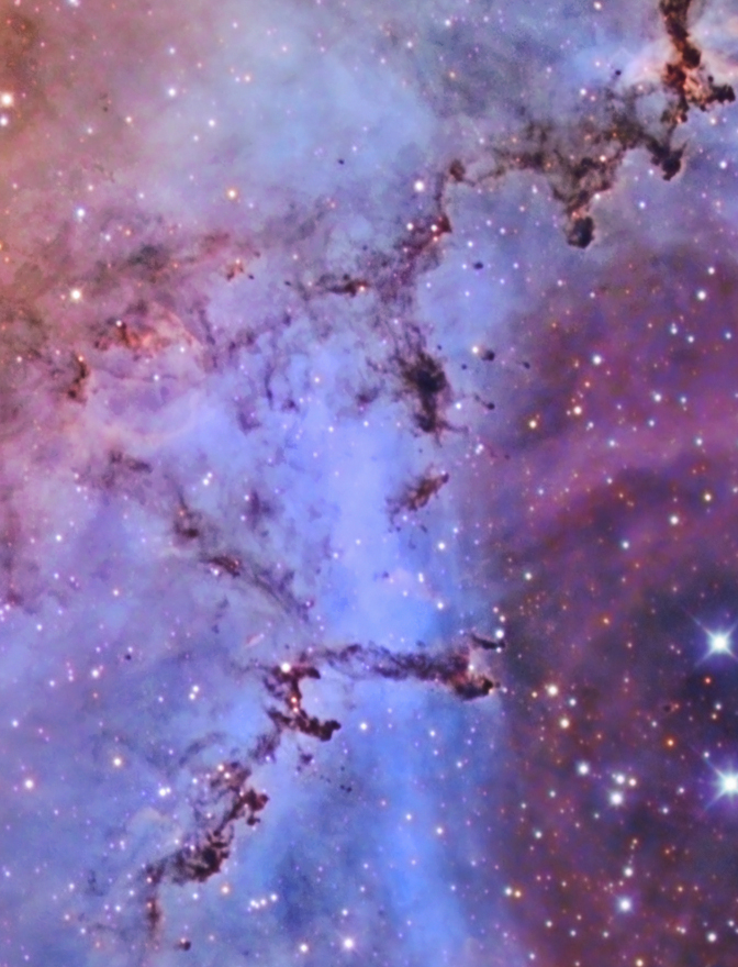 Bok Globules