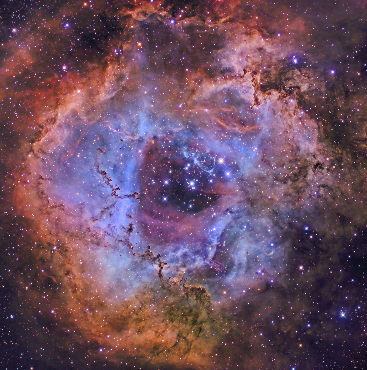 Hubbles Rose AAPOD Image of the Month