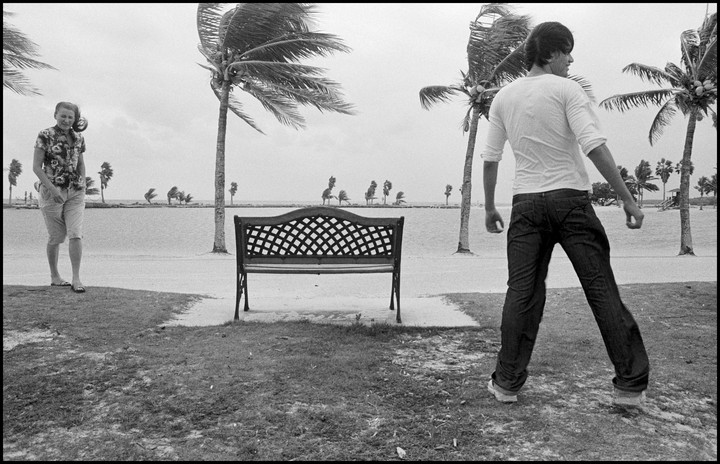 Blowing... (Matheson Hammock Park)