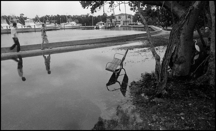 Matheson Hammock Park