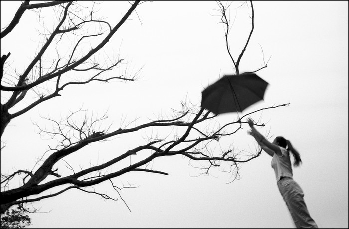 Dead Tree Game