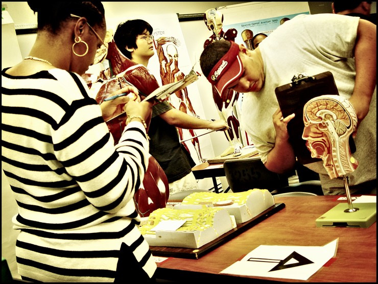 Anatomy Lab