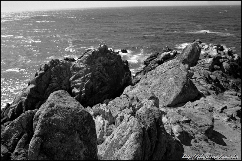 Point Lobos