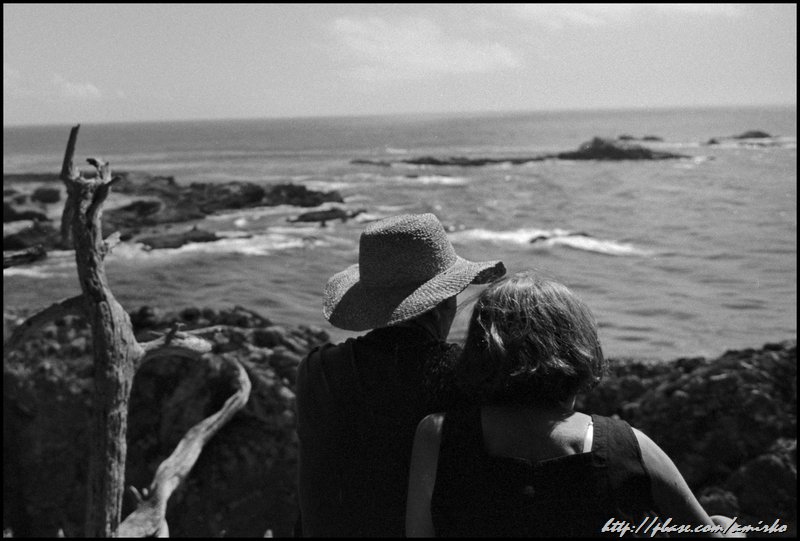 Point Lobos