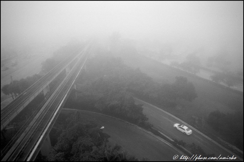 Foggy morning