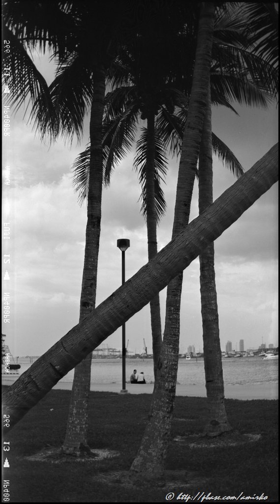 Downtown Miami with Kodak Brownie No. 2A Model C