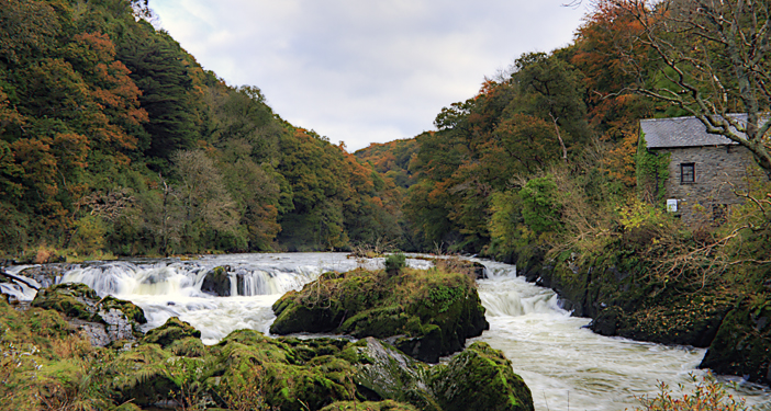 Cenarth Falls