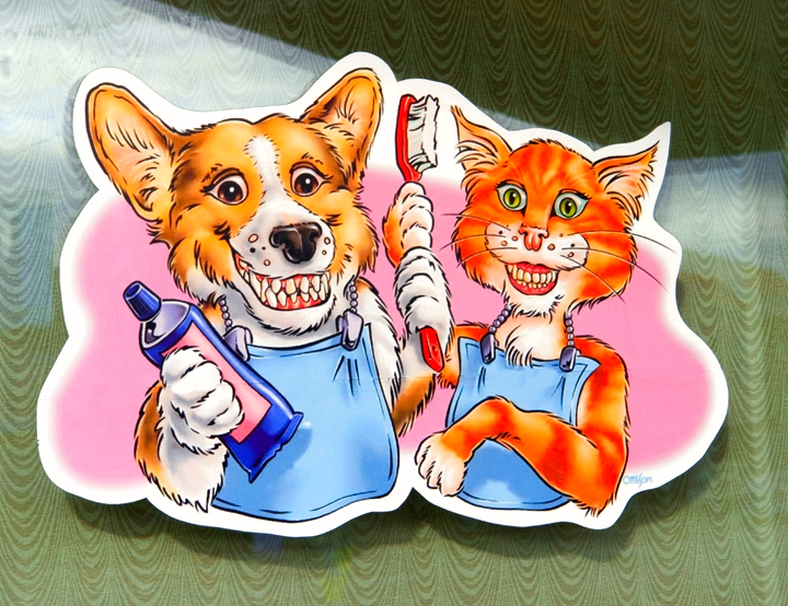 Animal Dental Clinic