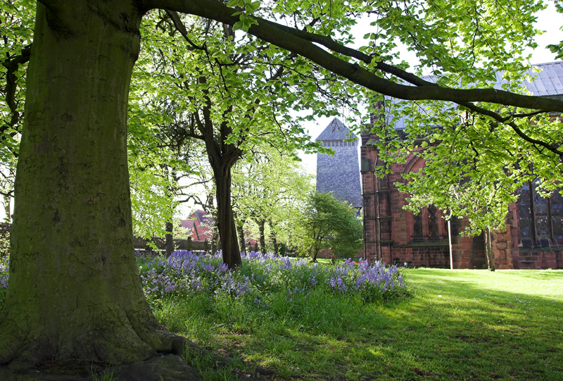 Chester Cathedral