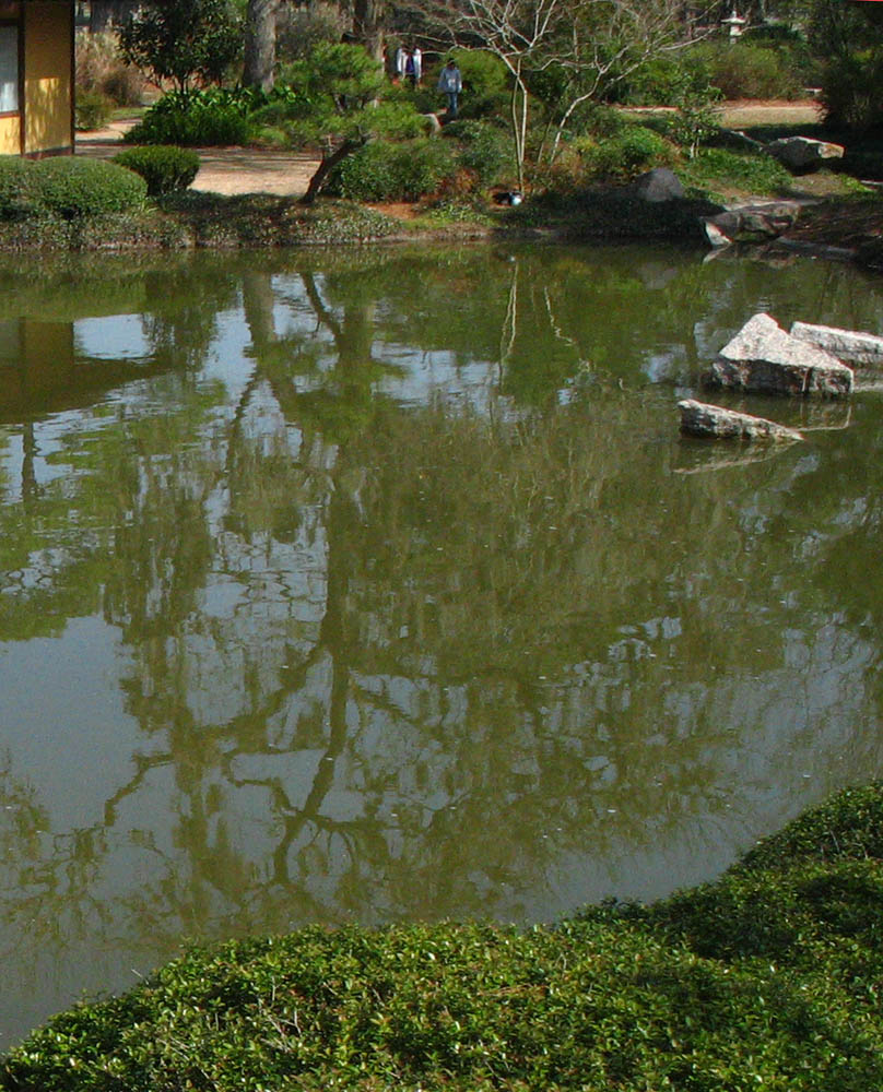 Hermann Park: Japanese Garden