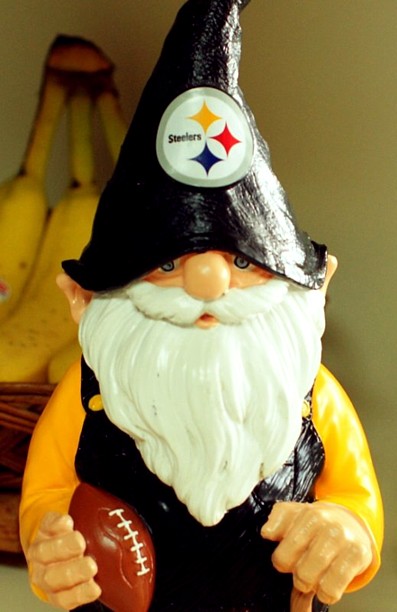 ~THE GNOME~