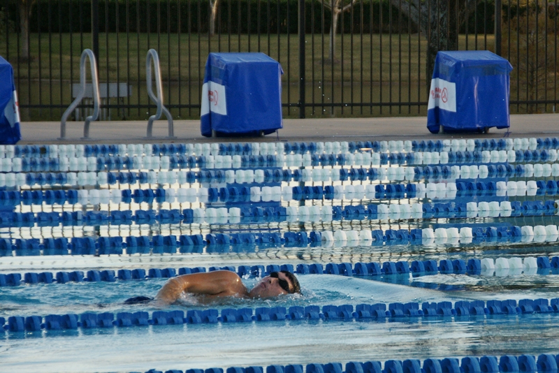 December Swimmer