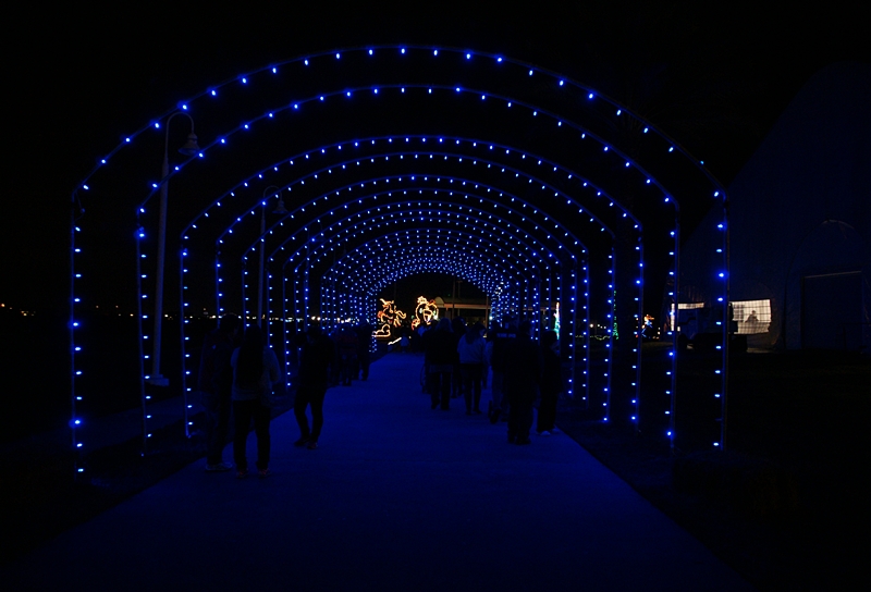 Moody Gardens Festival of Lights