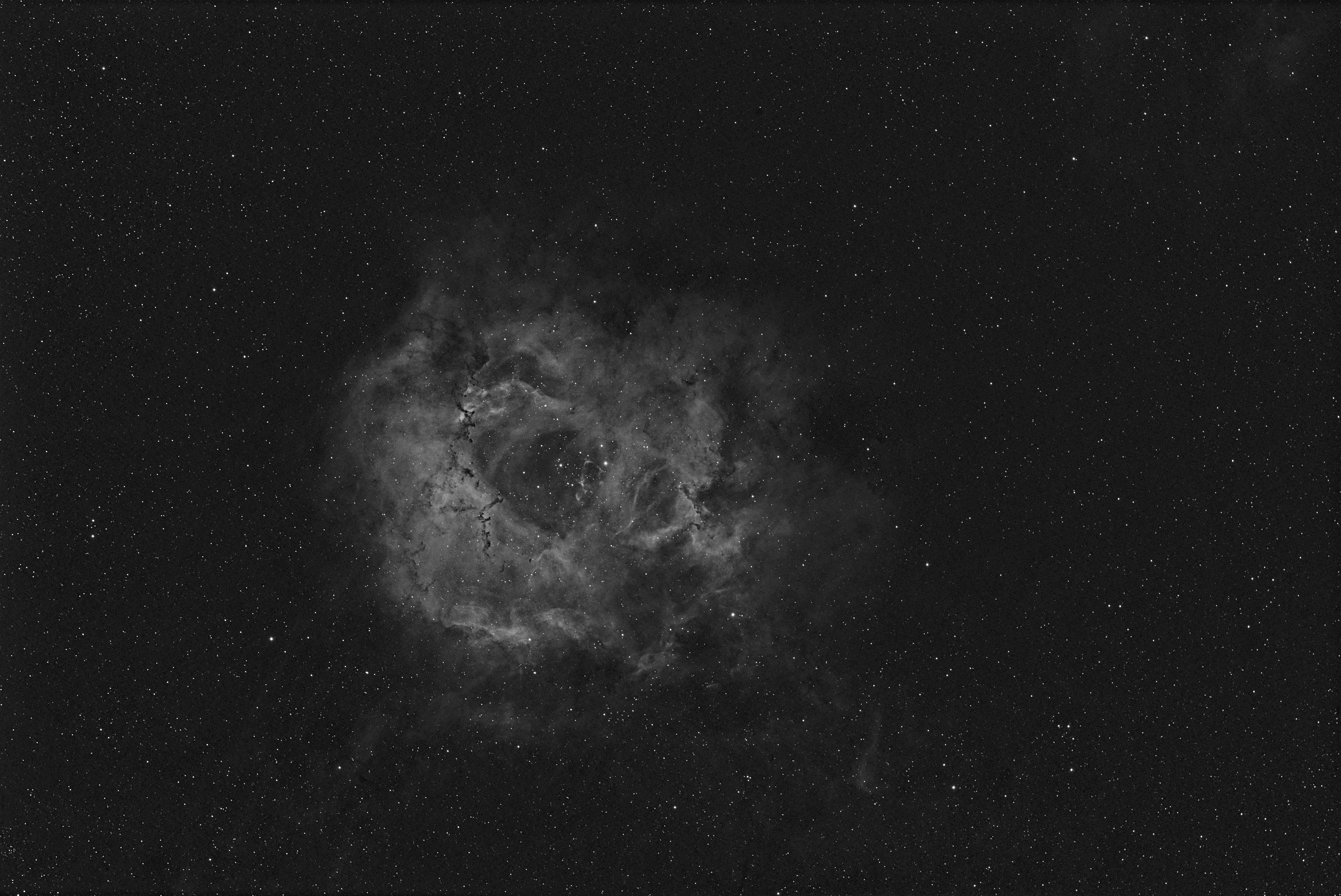 Rosette Nebula in Ha