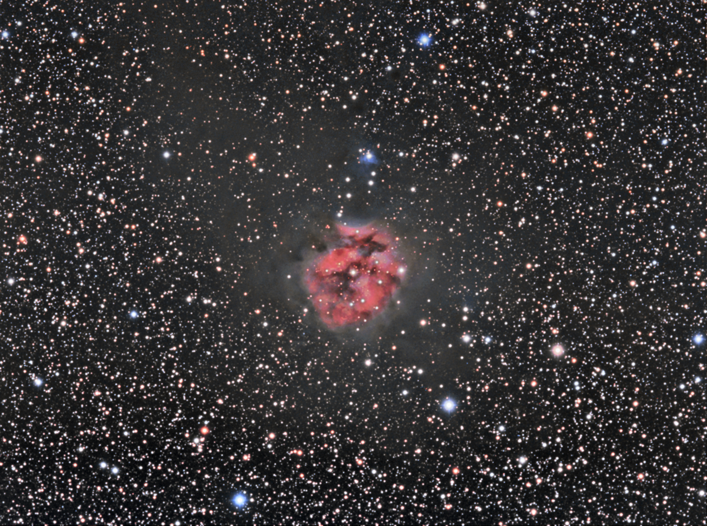 IC5146 - Cocoon Nebula (reprocessed)