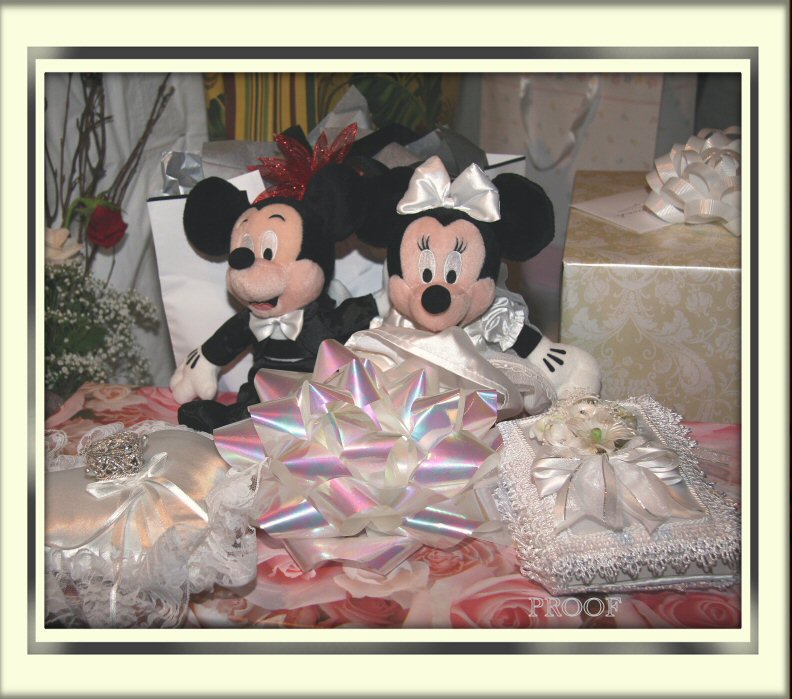 IMG_1527 micke minnie and pillows proof.jpg