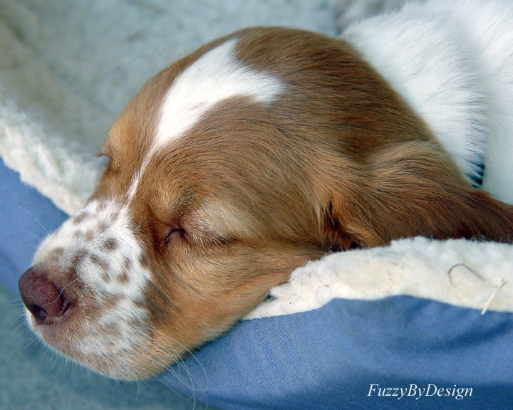 DSC01101 zzzzz