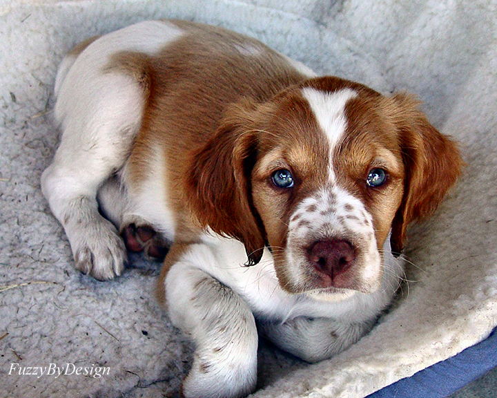 DSC01113 bedroom eyes