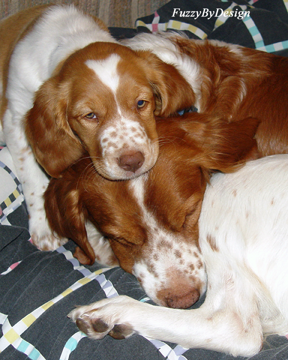 DSC01208  Shhh  Dads sleeping