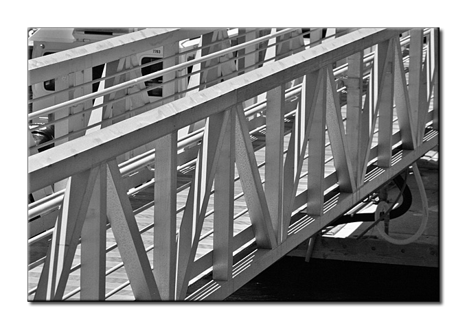 IMG_8748 BW5.jpg