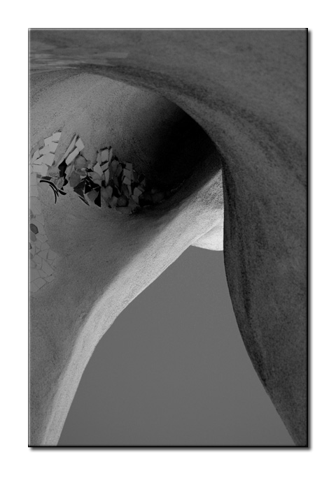 IMG_8738 BW3.jpg